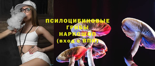 шишки Навашино